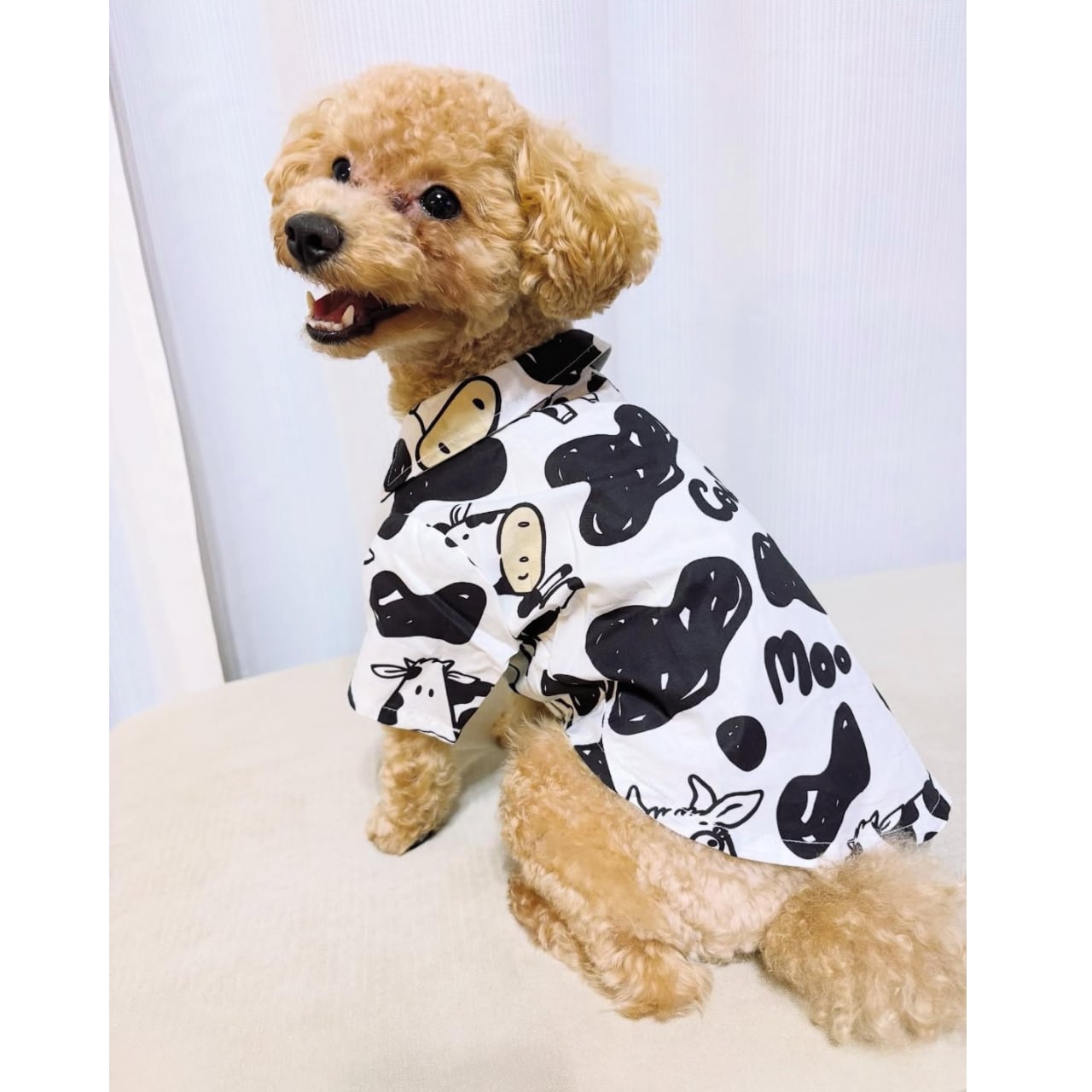 【3XLまであり】ウシ柄のシャツ♡0156