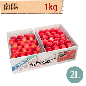 【さくらんぼ】南陽 1kg【2L】