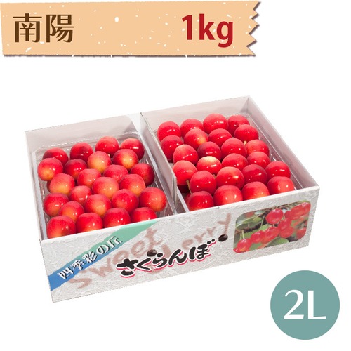【さくらんぼ】南陽 1kg【2L】