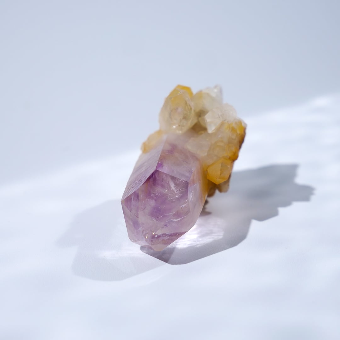 ブランドバーグ ゴボボセブ アメシスト アメジスト / 原石 標本【D_1