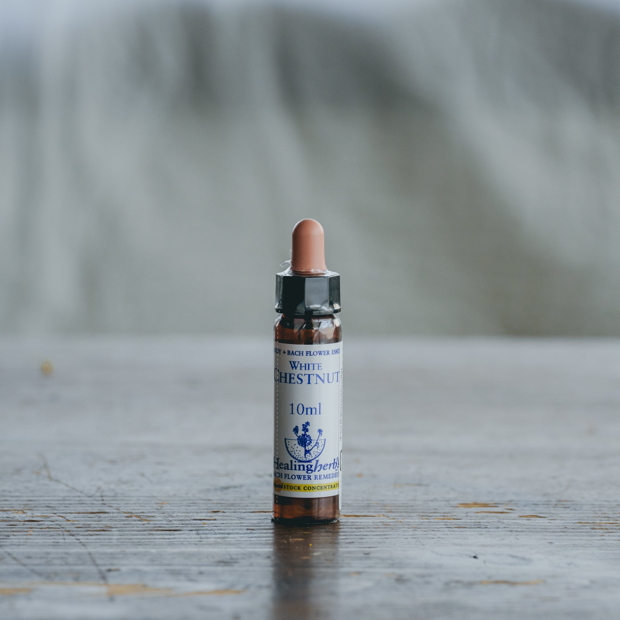 WHITE CHESTNUT / Healing Herbs フラワーエッセンス | ユーカリとタイヨウ