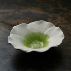 花小鉢 アネモネ 白 (幅 10.5 cm) Anemone flower