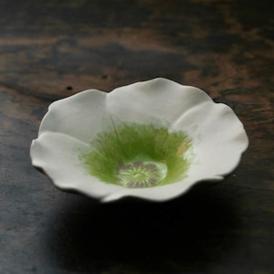 花小鉢 アネモネ 白 (幅 10.5 cm) Anemone flower