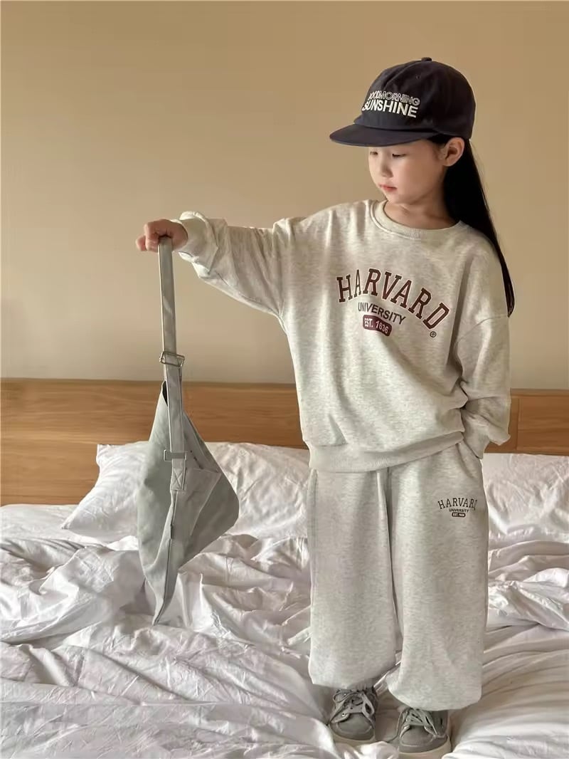 HARVARDセットアップ