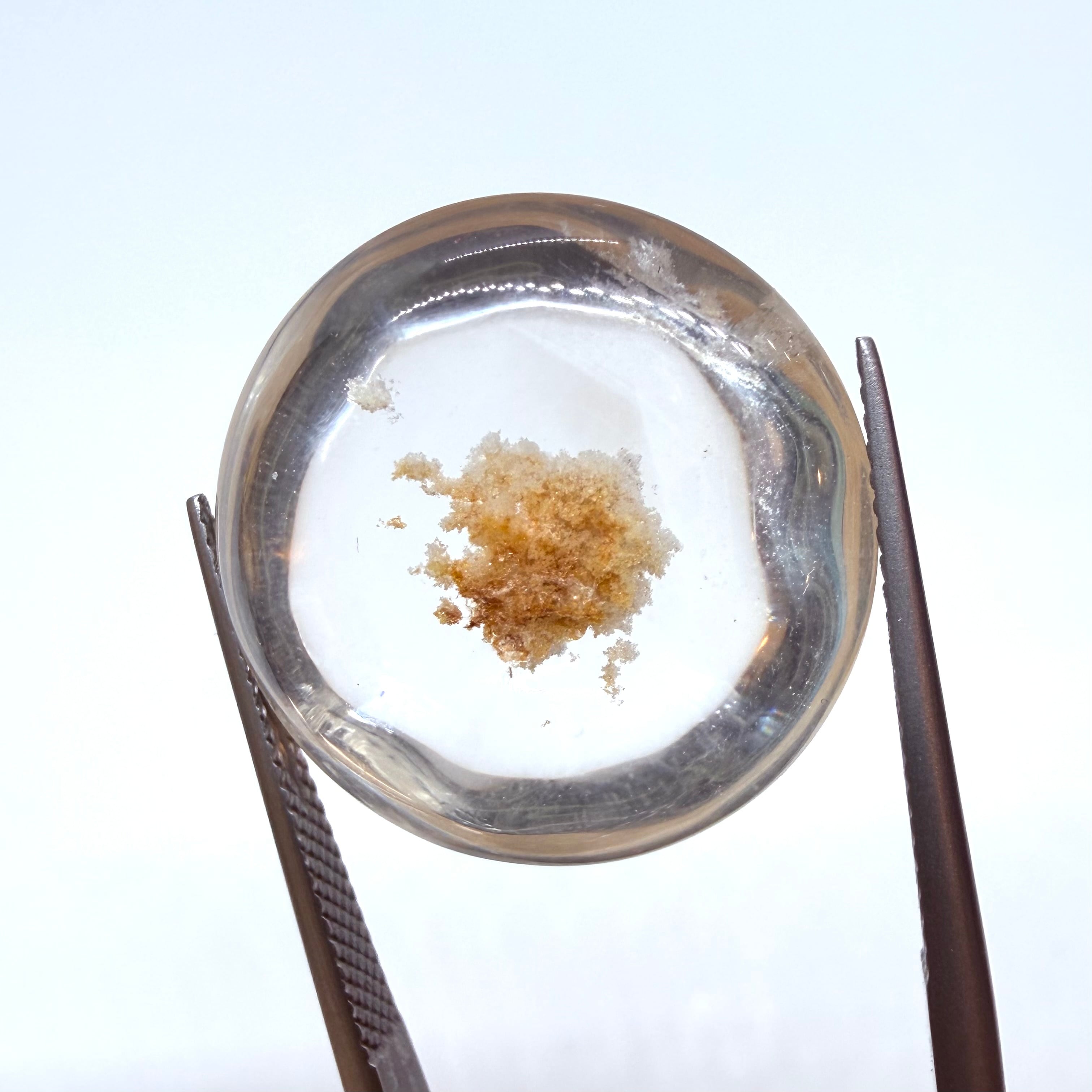 珊瑚礁を閉じ込めたようなホワイトガーデンクオーツ