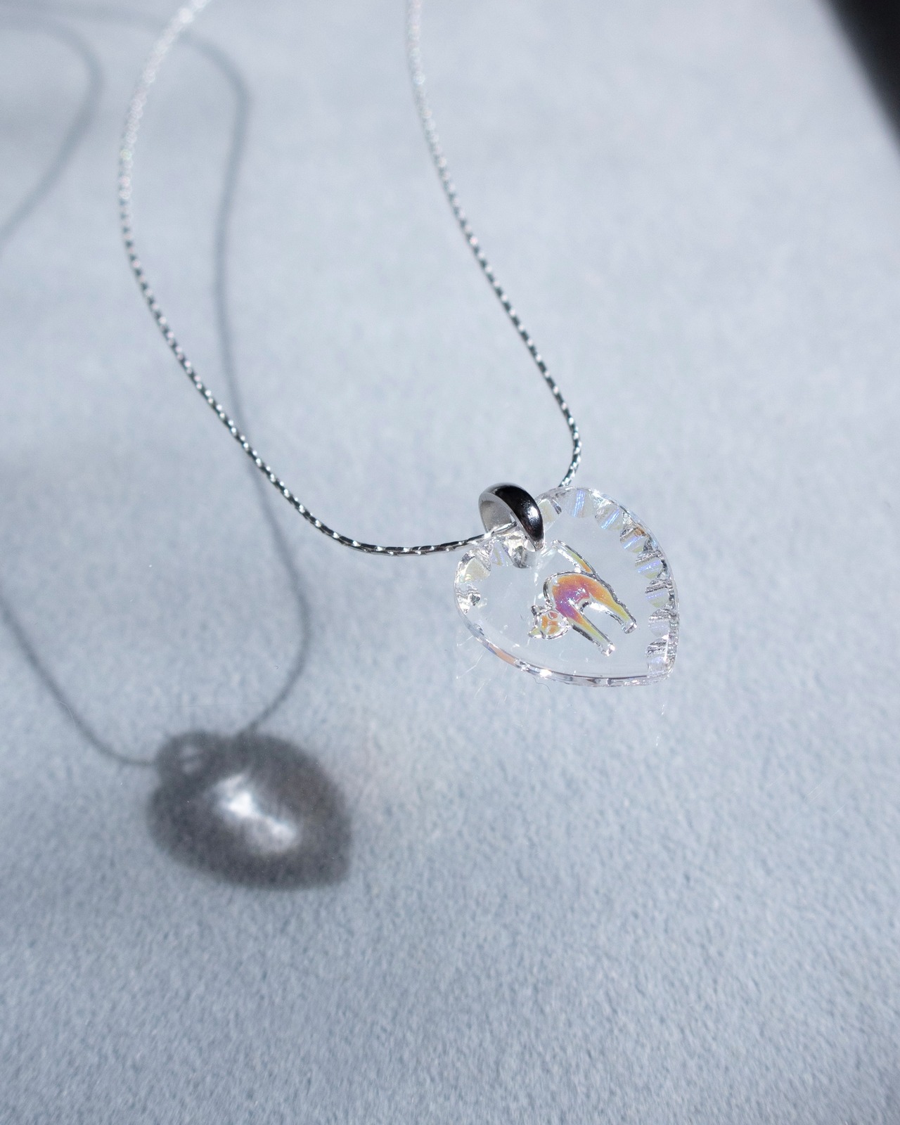 [Outlet]Cat (aurora)(2607-2)