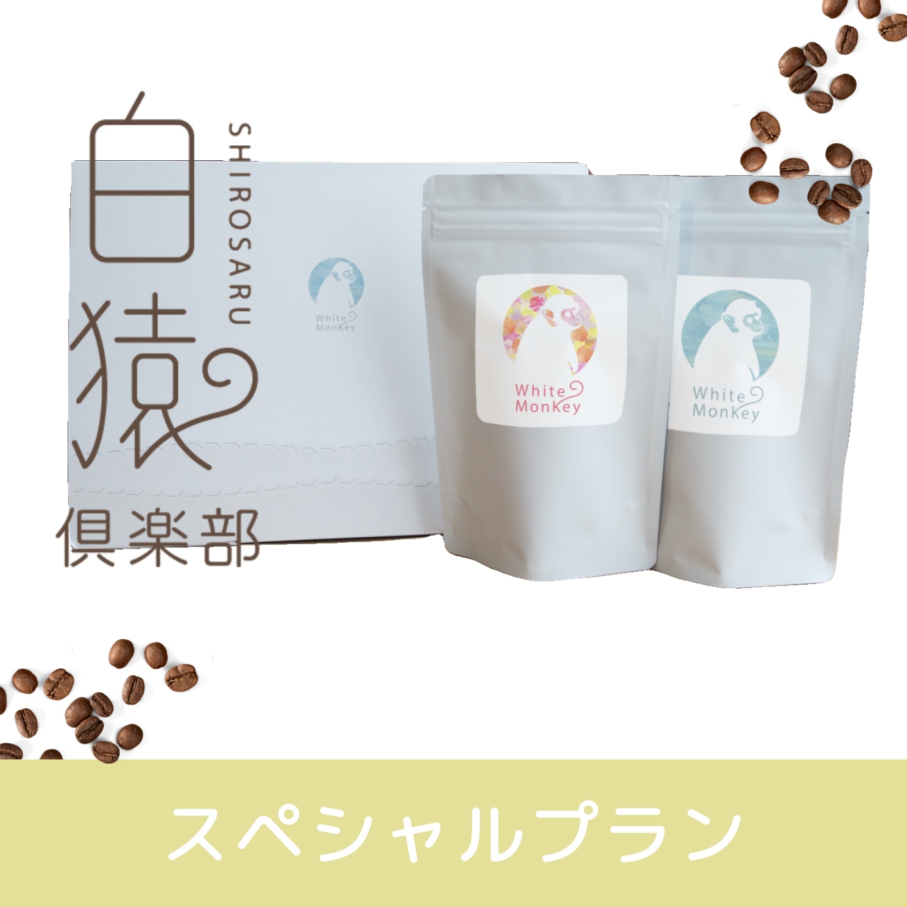 コーヒー定期便-スペシャルプラン-