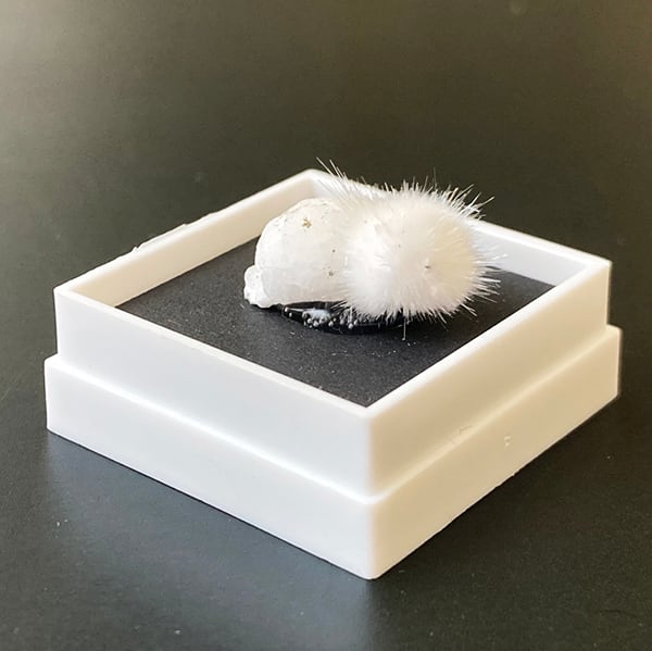 オーケン石 オケナイト（Okenite)直径約12mm コレクションケース付