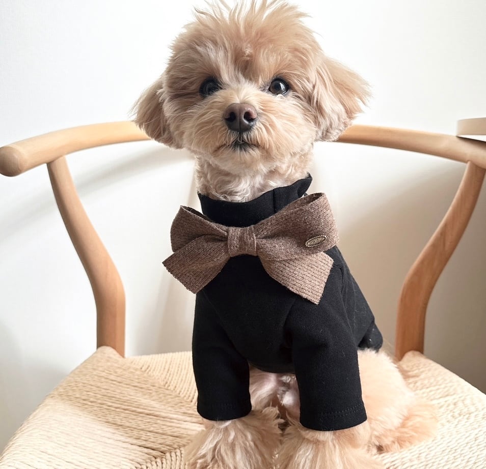 大きなリボンネックバンド