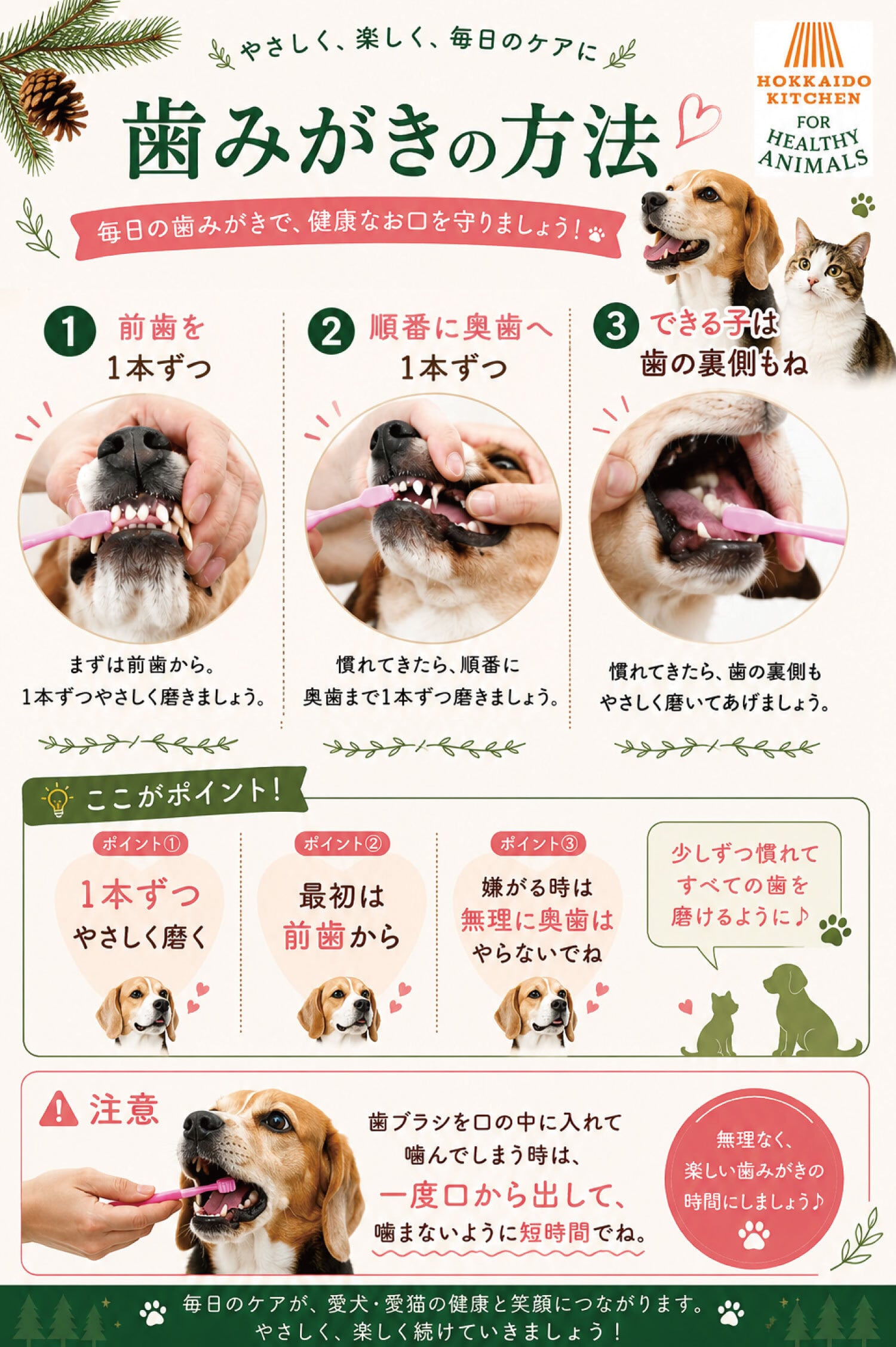 圧倒的やわらかさ。”【犬猫用】究極の歯ブラシ「天使の羽ブラシ」SS
