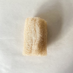 Loofah sponge　ヘチマスポンジ