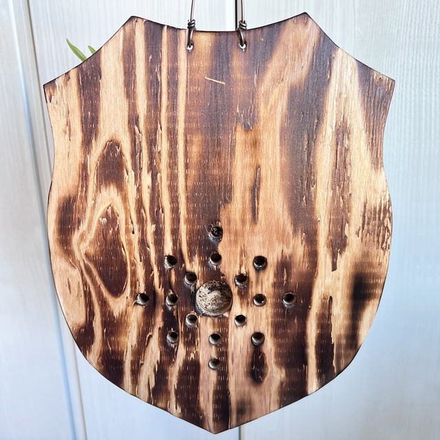 ビカクシダ グランデ 板付 【観葉植物 壁掛け コウモリラン】