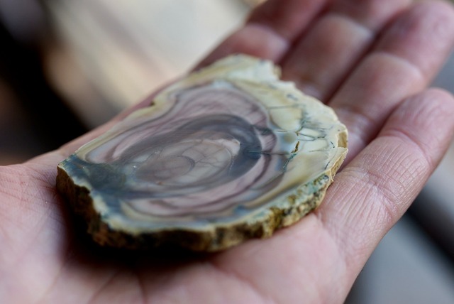 ロイヤルインペリアルジャスパー　Royal Imperial Jasper ③