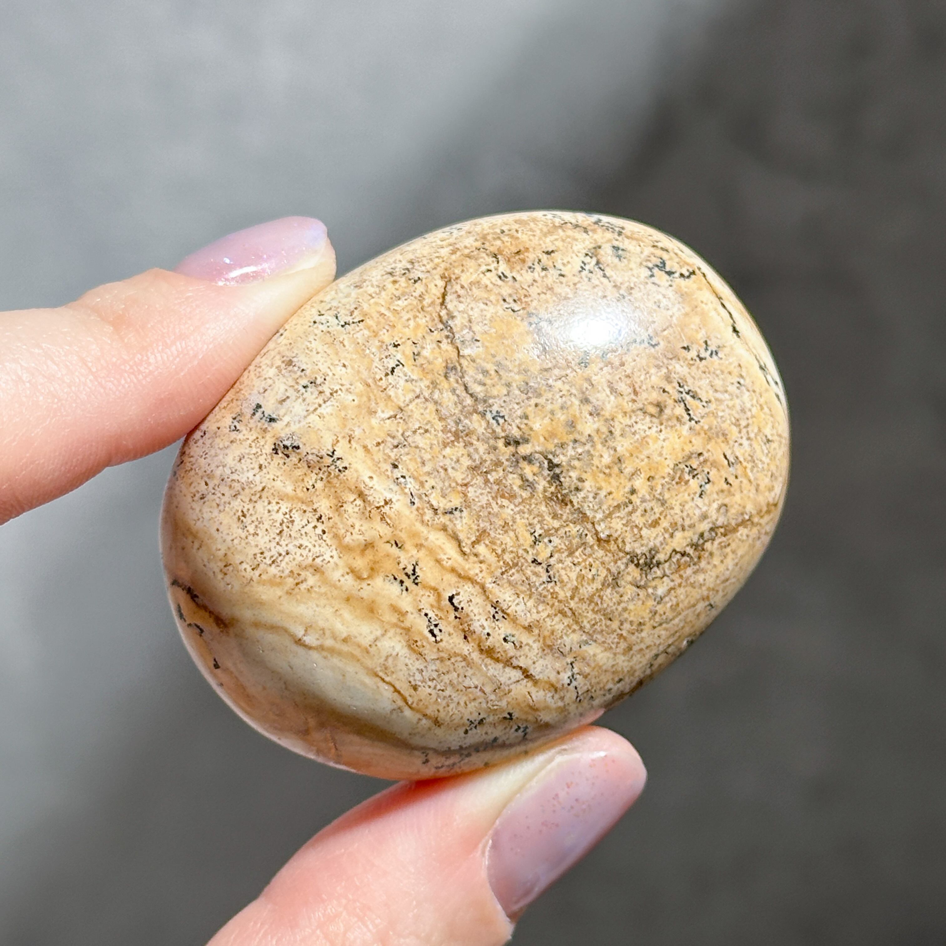ピクチャージャスパー パームストーン13◇ Picture Jasper ◇ 天然石・鉱物・パワーストーン