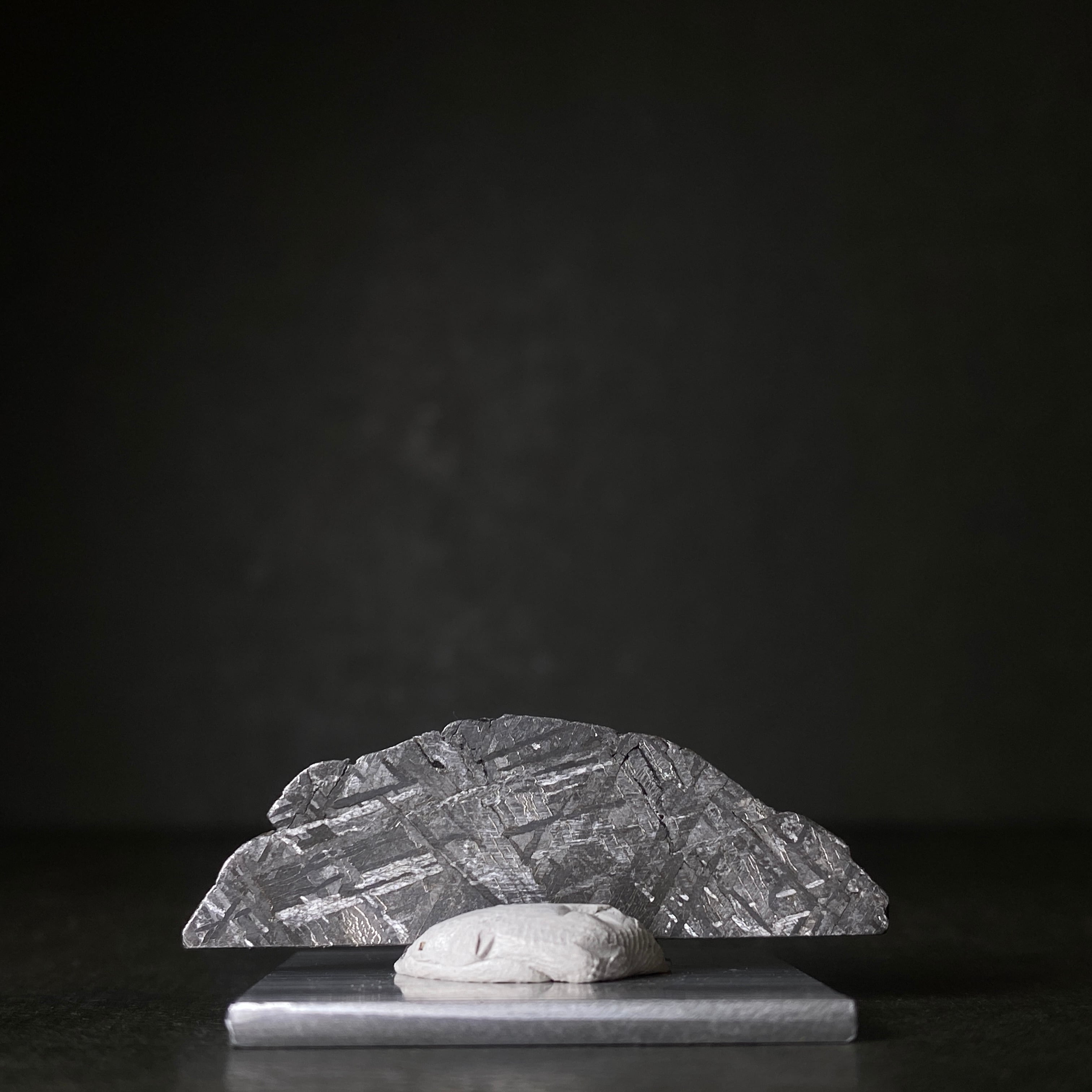 藤田　ギベオン隕石 Gibeon Meteorite 重さ41ｇ ギベオン隕石HG Gibeon Meteorite 26052207 | 【隕石屋】METEOS