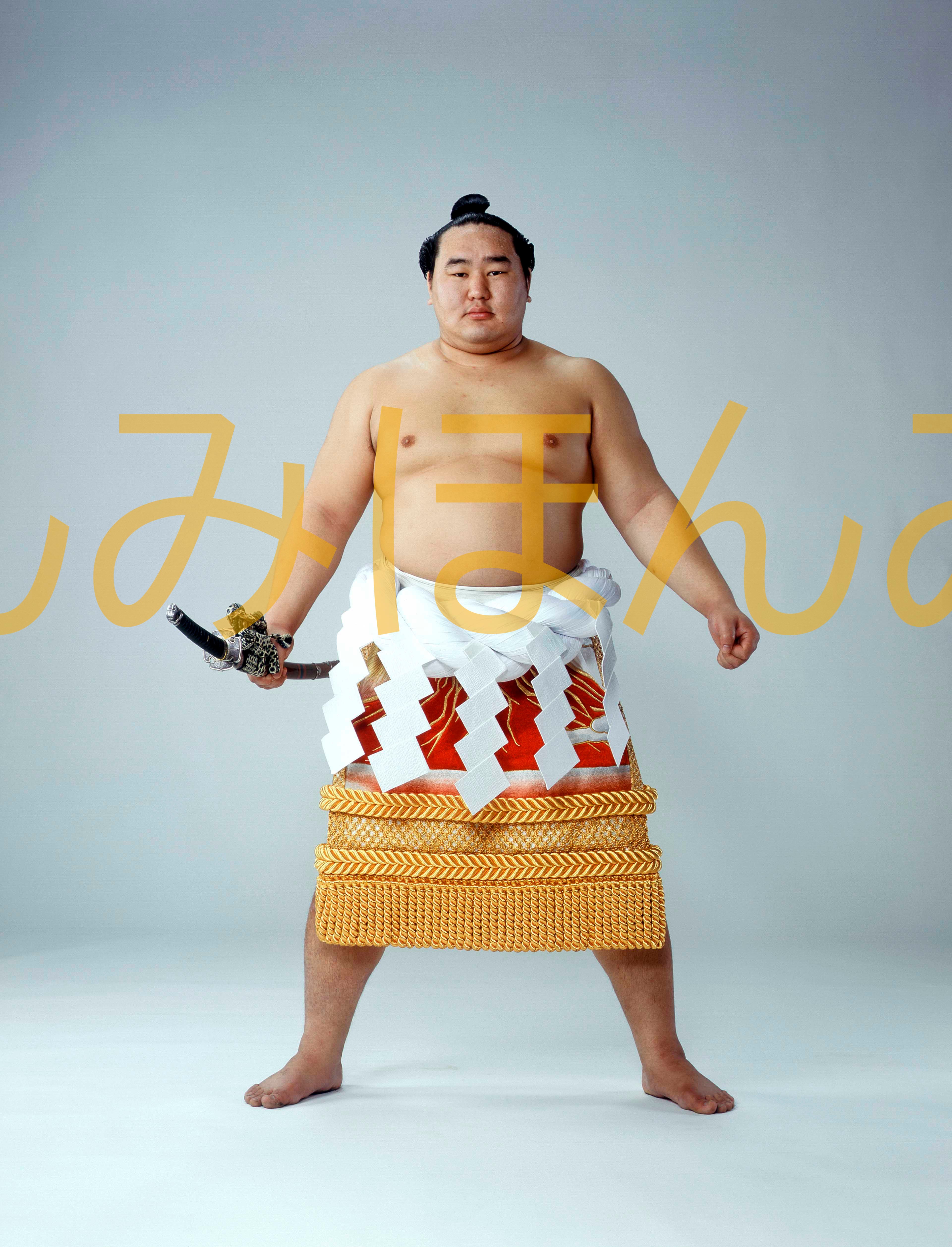平成18年11月場所全勝 横綱 朝青龍明徳関(19回目の優勝 平成18年11月場所全勝 横綱 朝青龍明徳関(19回目の優勝