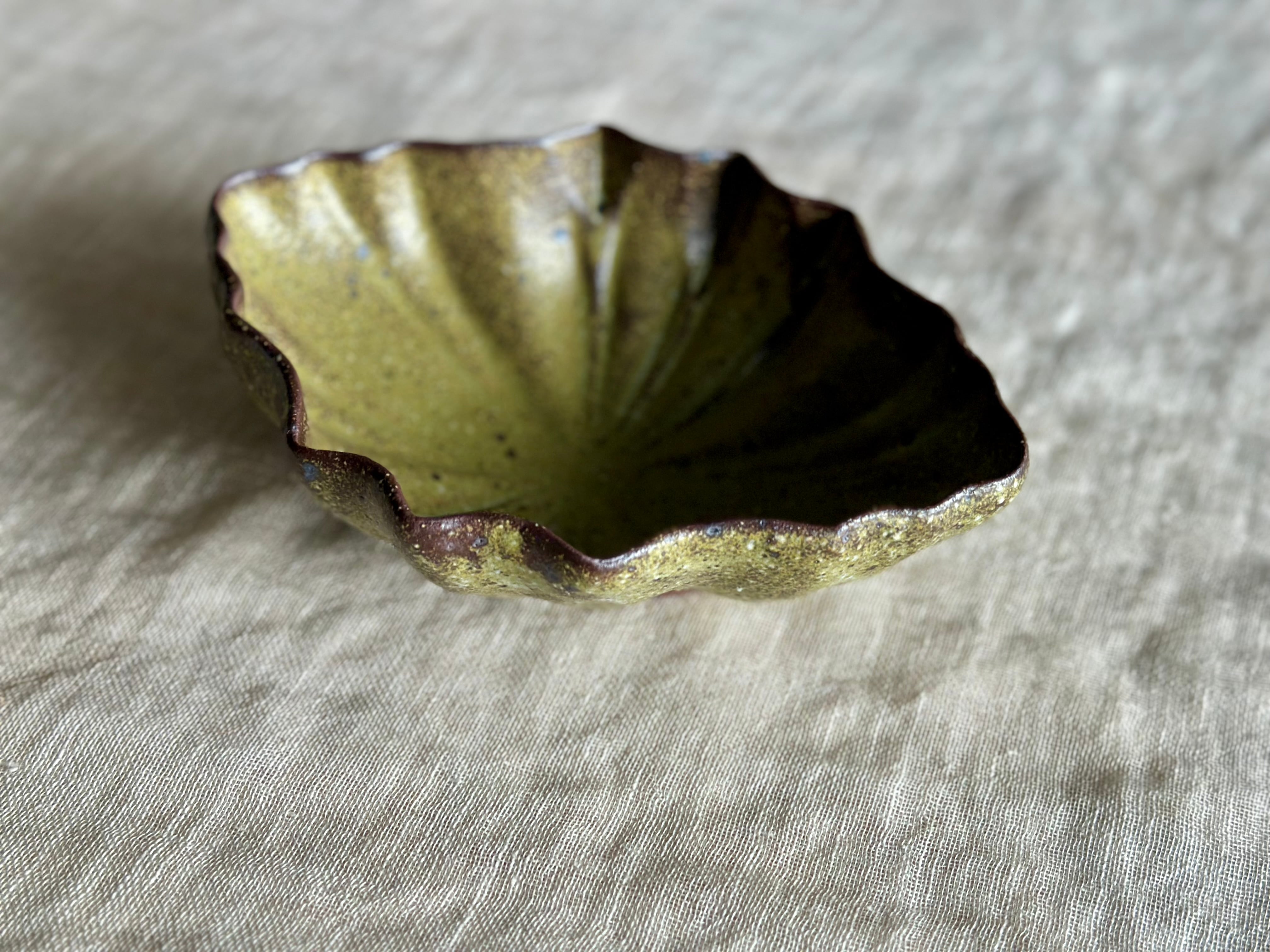 モスグリーン 枯れ蓮鉢