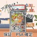 新・一撃必殺ゲリラ　PSA10サーナイトブチ抜きオリパ　5000円　ポケモンカードゲーム