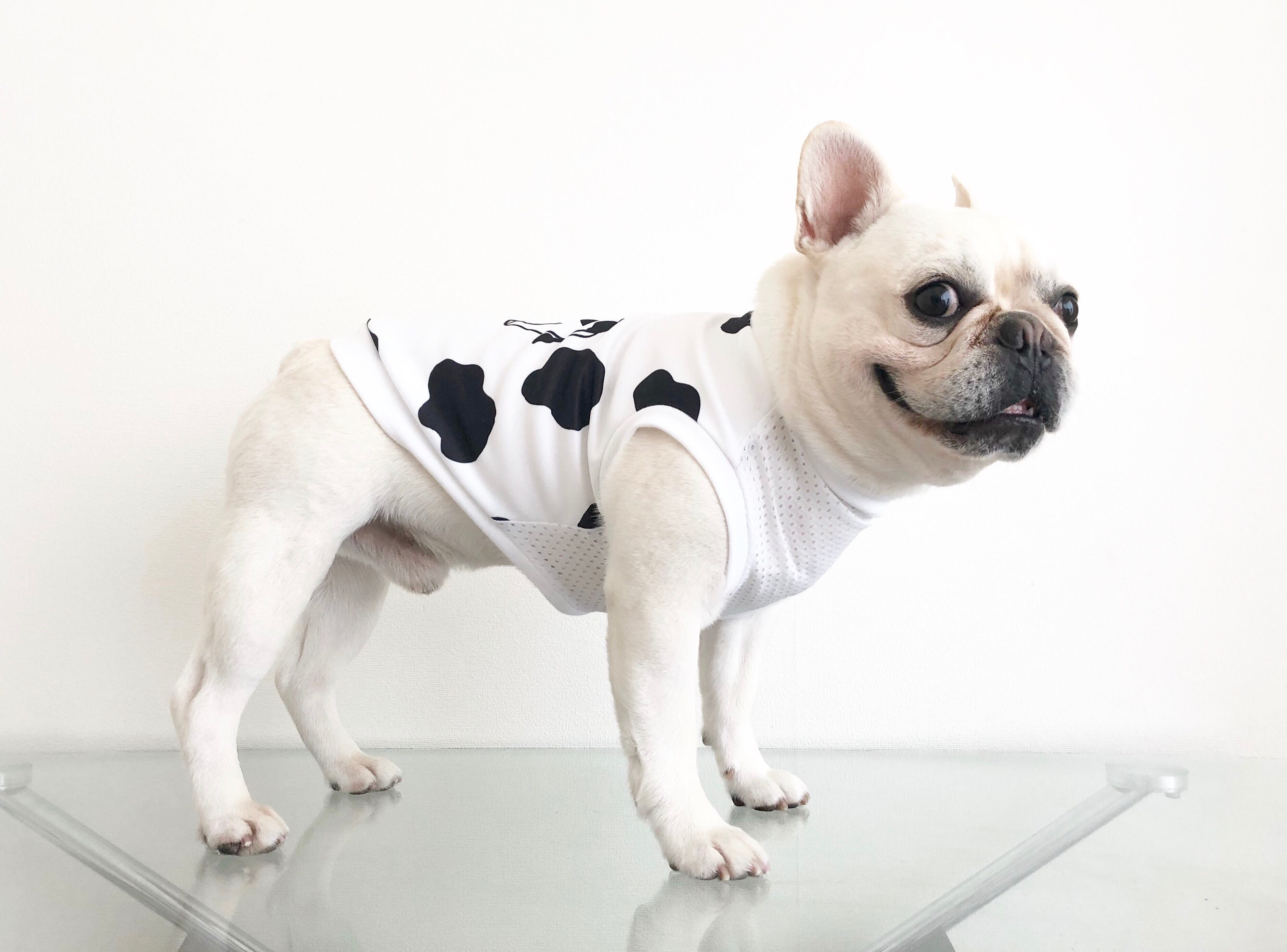 フロントメッシュタンクトップ＊ウシさん＊ | 犬服BUTTER