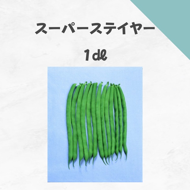 スーパーステイヤー　インゲン種子・1dl