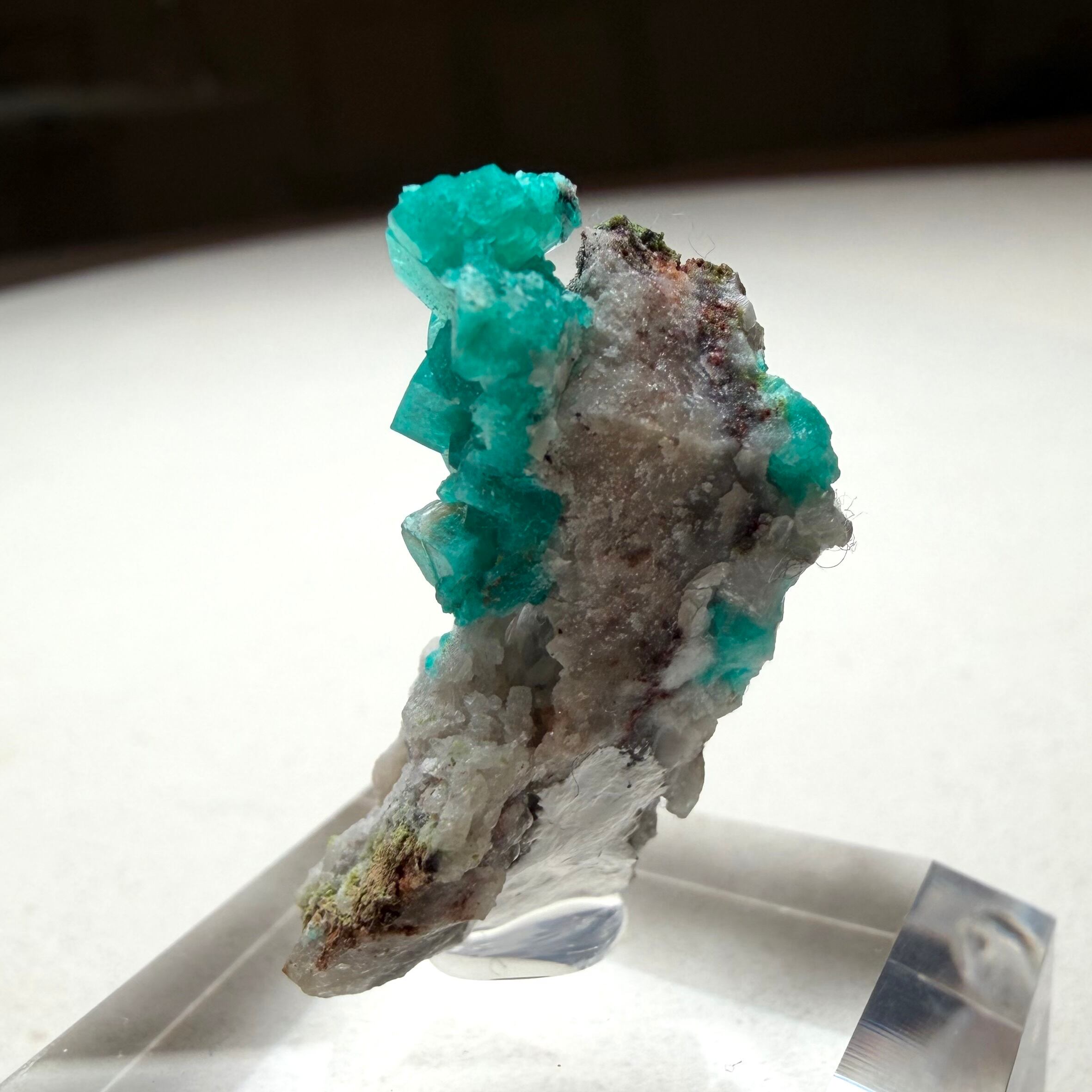 ダイオプテーズ / ダフタイト / カルサイト【Dioptase in Calcite with