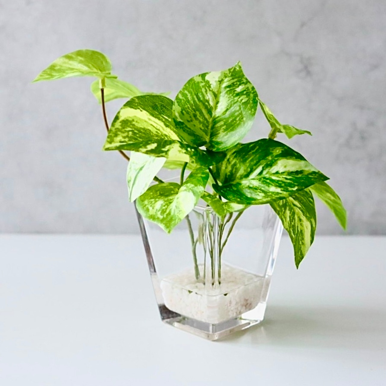 ポトス フェイクグリーン 造花 観葉植物 ガラス花瓶 卓上 インテリア