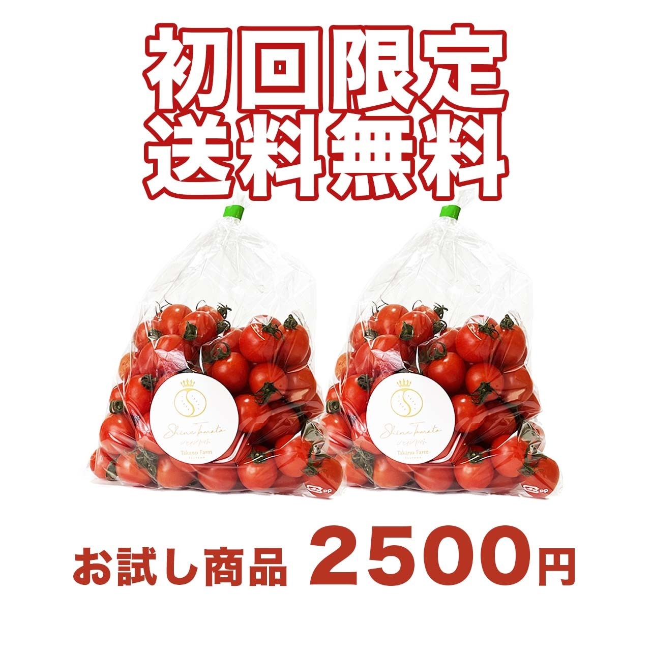 【初回限定】送料無料のお試しシャイントマト600g（300g×2パック）津山産【農園直送】