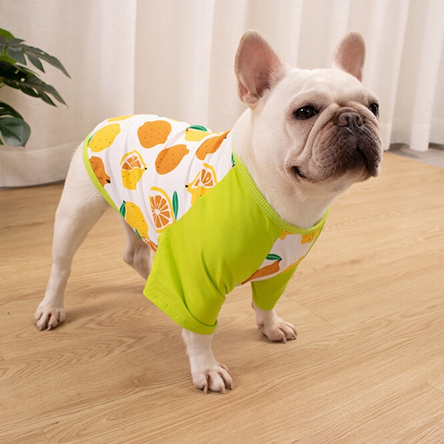 【送料無料】KM156TS フレブル Tシャツ フレンチブルドック レモン柄 犬服 ドックウェア