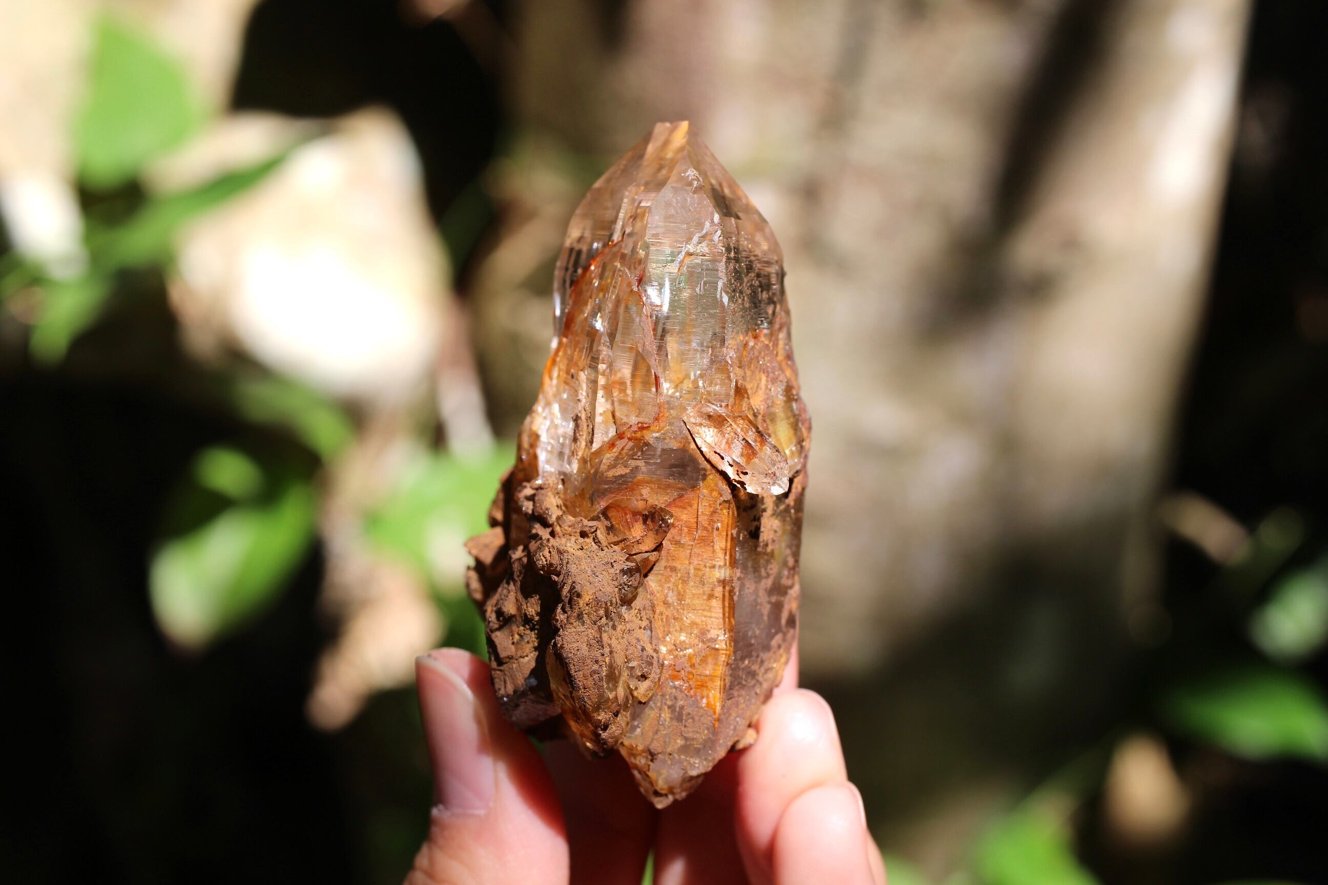 ガネーシュヒマール産 ヒマラヤ水晶 リモナイト 虹入り | 石垣島の夜光