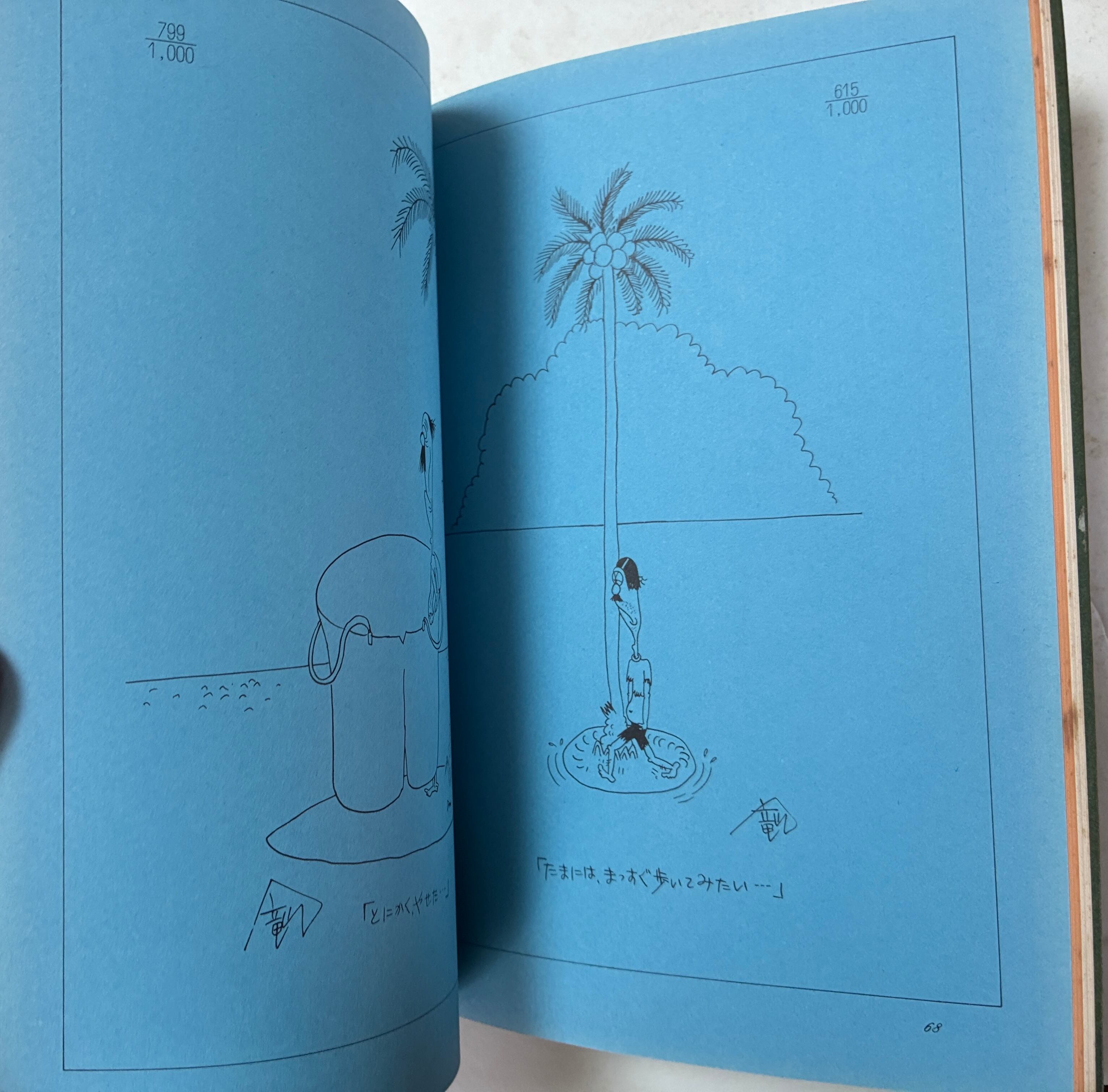 秋竜山のロビンソンクルーソー 1978年 初版 大陸書房 | トムズボックス
