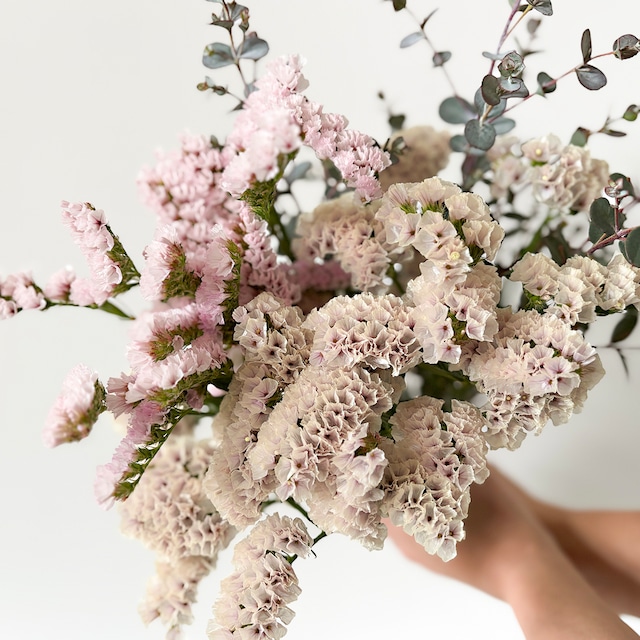 緊急救済〈数量限定・送料込み〉国産ニュアンスカラーのスターチスとユーカリ　★フラワーロス削減