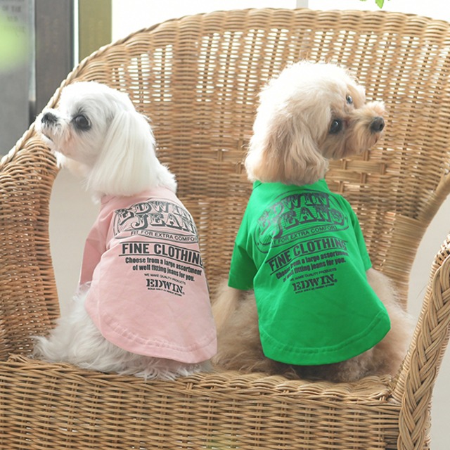 ビンテージサーフTシャツ EDWIN（ エドウィン）