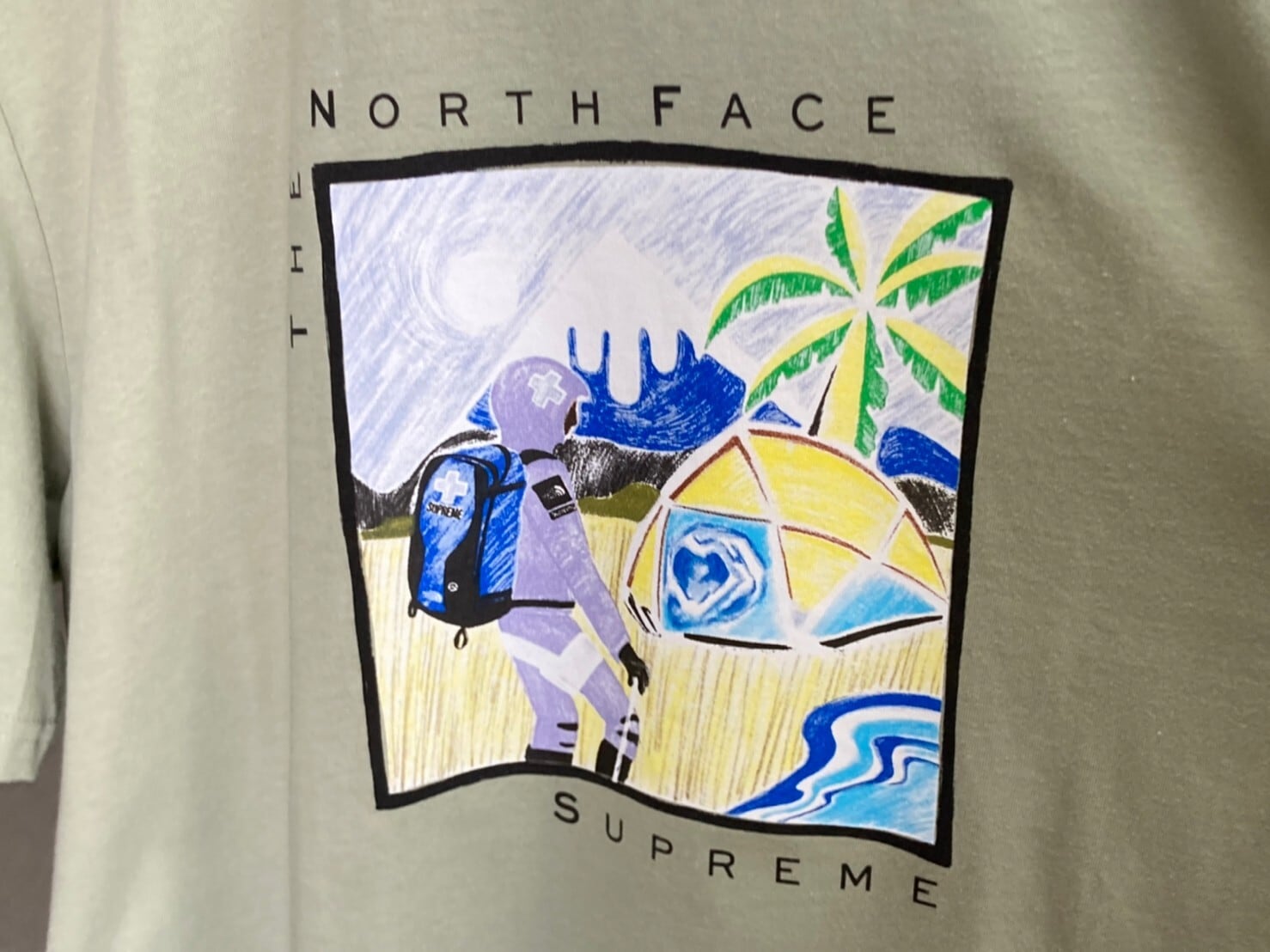 Supreme The North Face Sketch S/S Top
