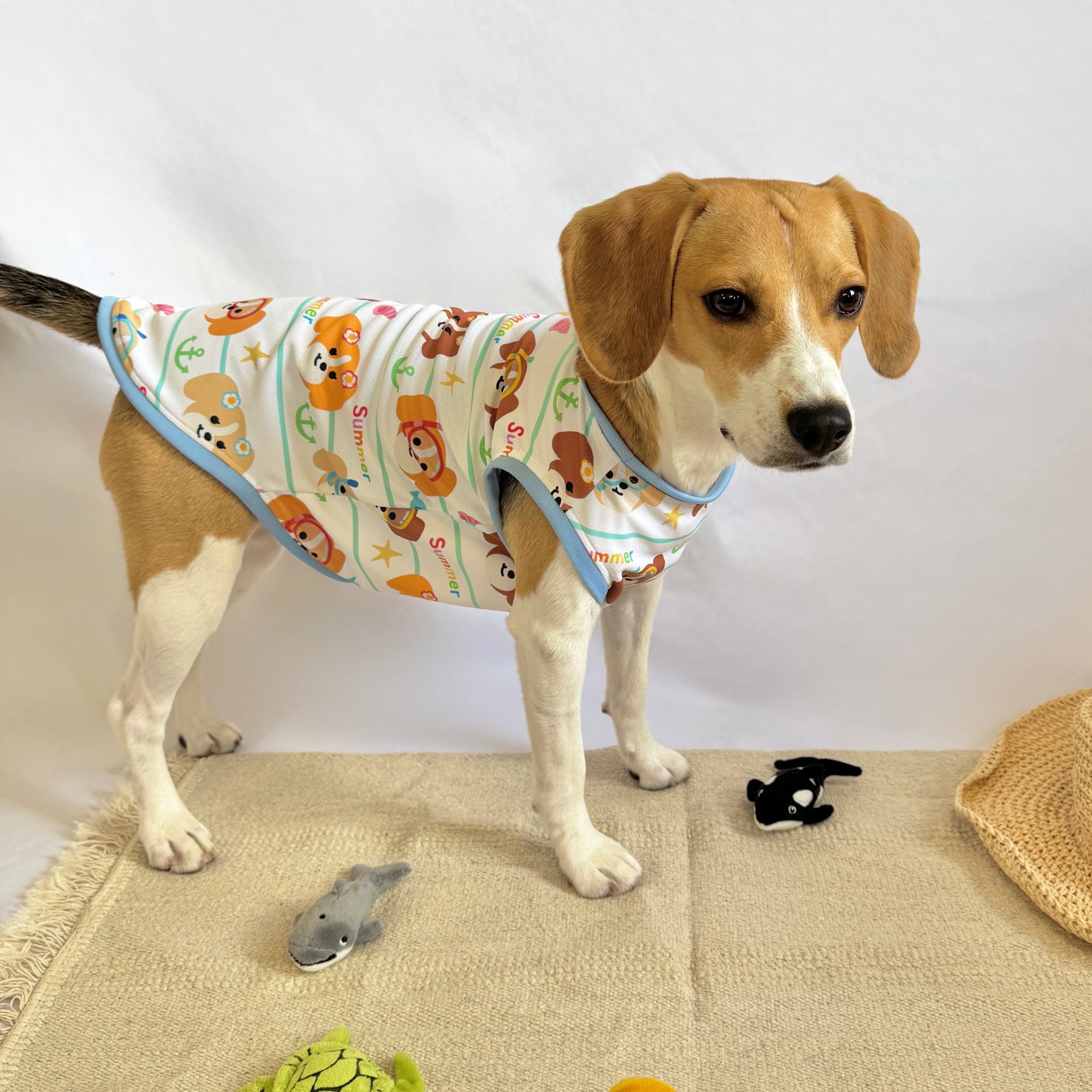 【小型犬用】涼しげメッシュのビーグルタンク