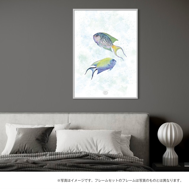 【海のいきものアートポスター／魚】ヤイトヤッコ