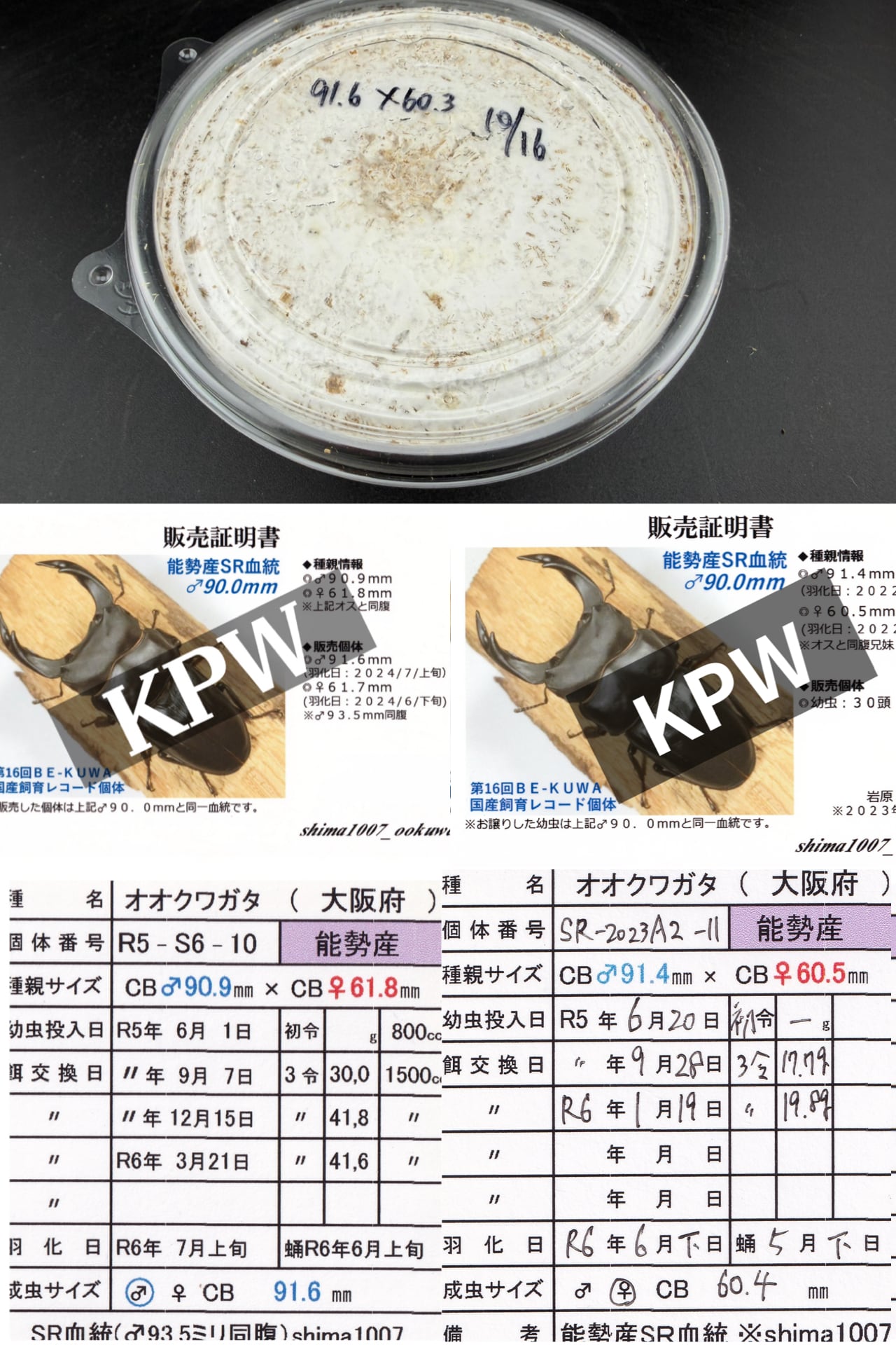 PPボトル 800cc | KPW公式オンラインショップ