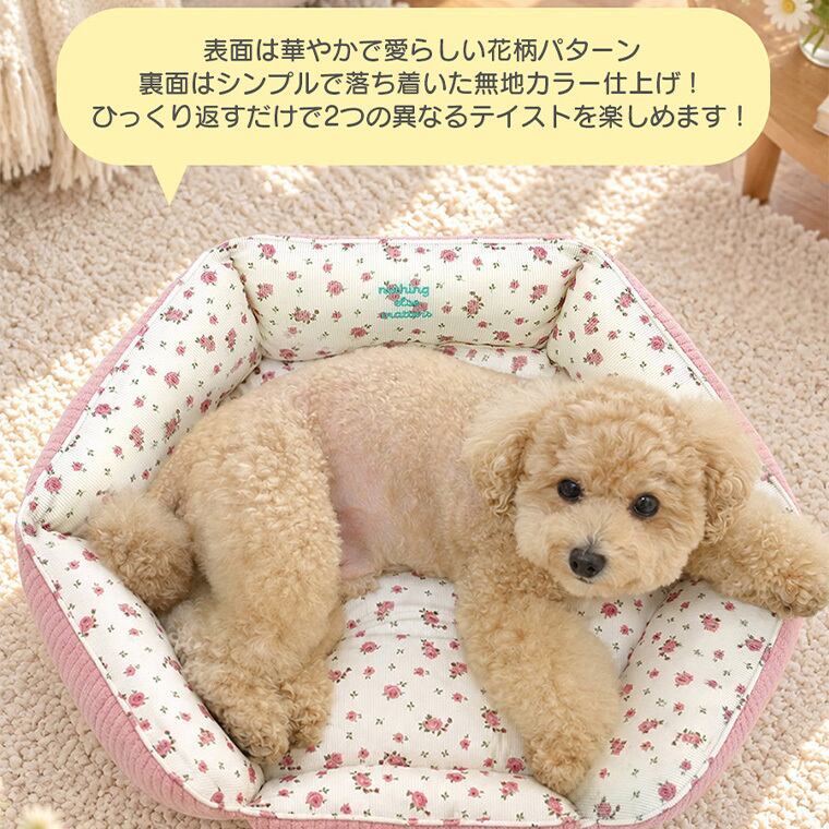 【予約販売10%OFF】jelly bear reversible bed 2color / 犬用 ベッド リバーシブル 両面 ふんわり 冬 可愛い クッション ペットマット 猫用 韓国 ペット用品 小型犬 中型犬 ハウス 高級 犬 ペットベッド