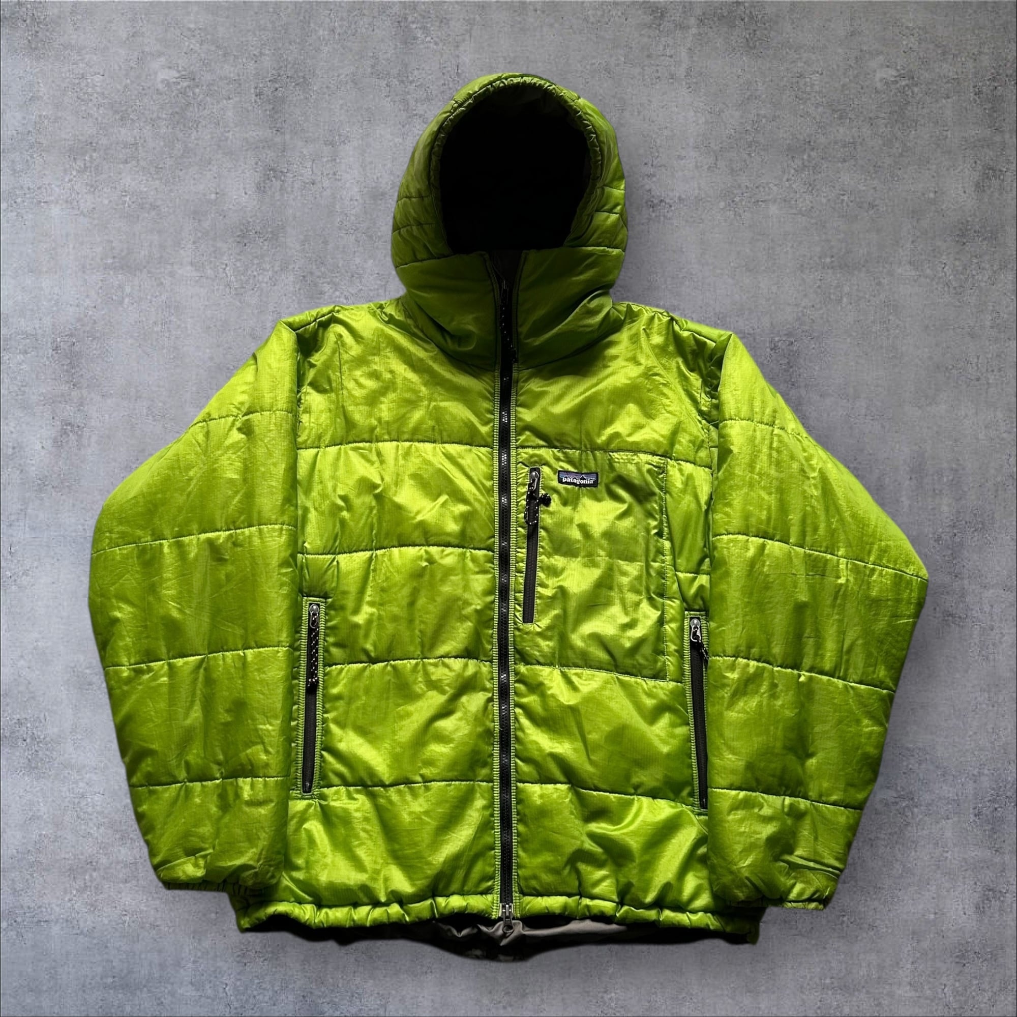Special!! 2002s Patagonia DAS Parka "Gecko Green"【高円寺店】