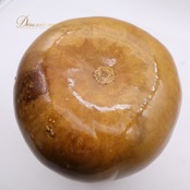 フラダンス 小物 イプ ひょうたん ブラウン系 楽器 茶 小物 小道具 光沢 艶 紐 袋 ケース セット タヒチアン タヒチ 練習 レッスン 舞台 ステージ 音楽 ハワイアン アロハ ダンス小物 ナチュラル 落ち着いた色 ベージュ系 グリーン系 レッド系 ホワイト系 イエロー系 オレンジ系 ピンク系 ブルー系