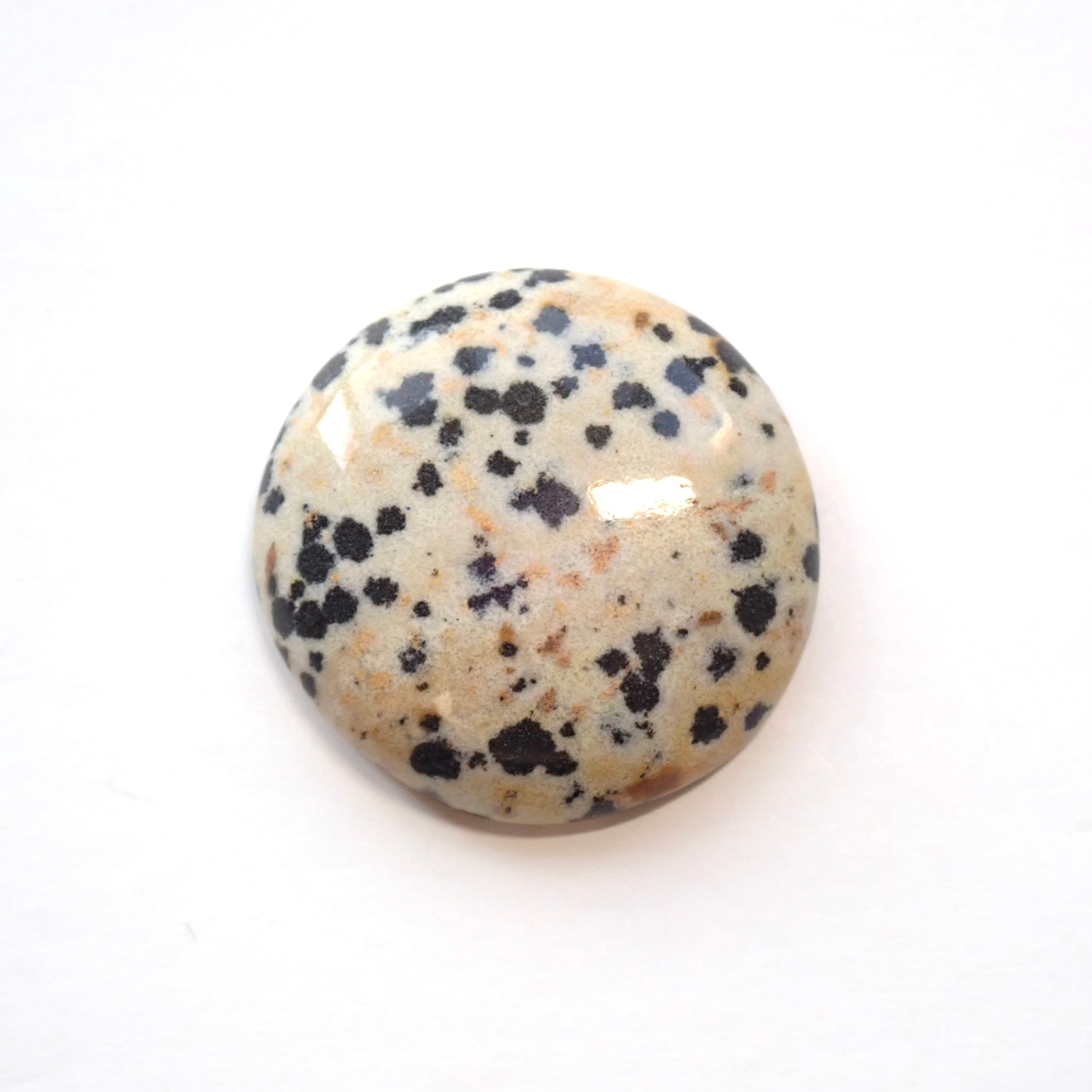 ダルメシアンジャスパー　03