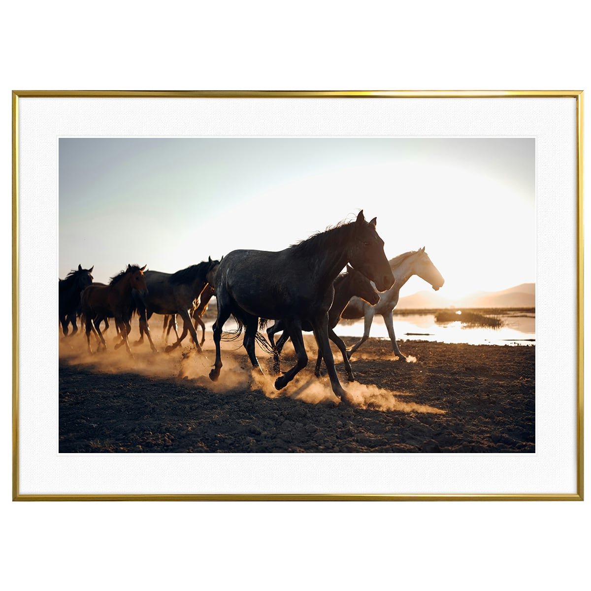 夕日写真 駆け抜ける野生の馬たち インテリアアートポスター額装 AS4798
