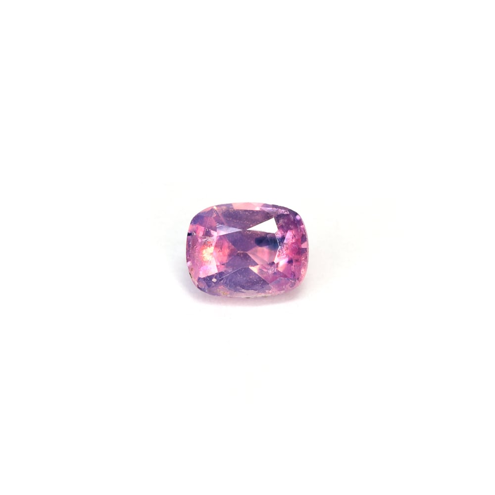 バイカラー・パーティカラー系 | EBiS GEM バイカラー・パーティカラー系 | EBiS GEM