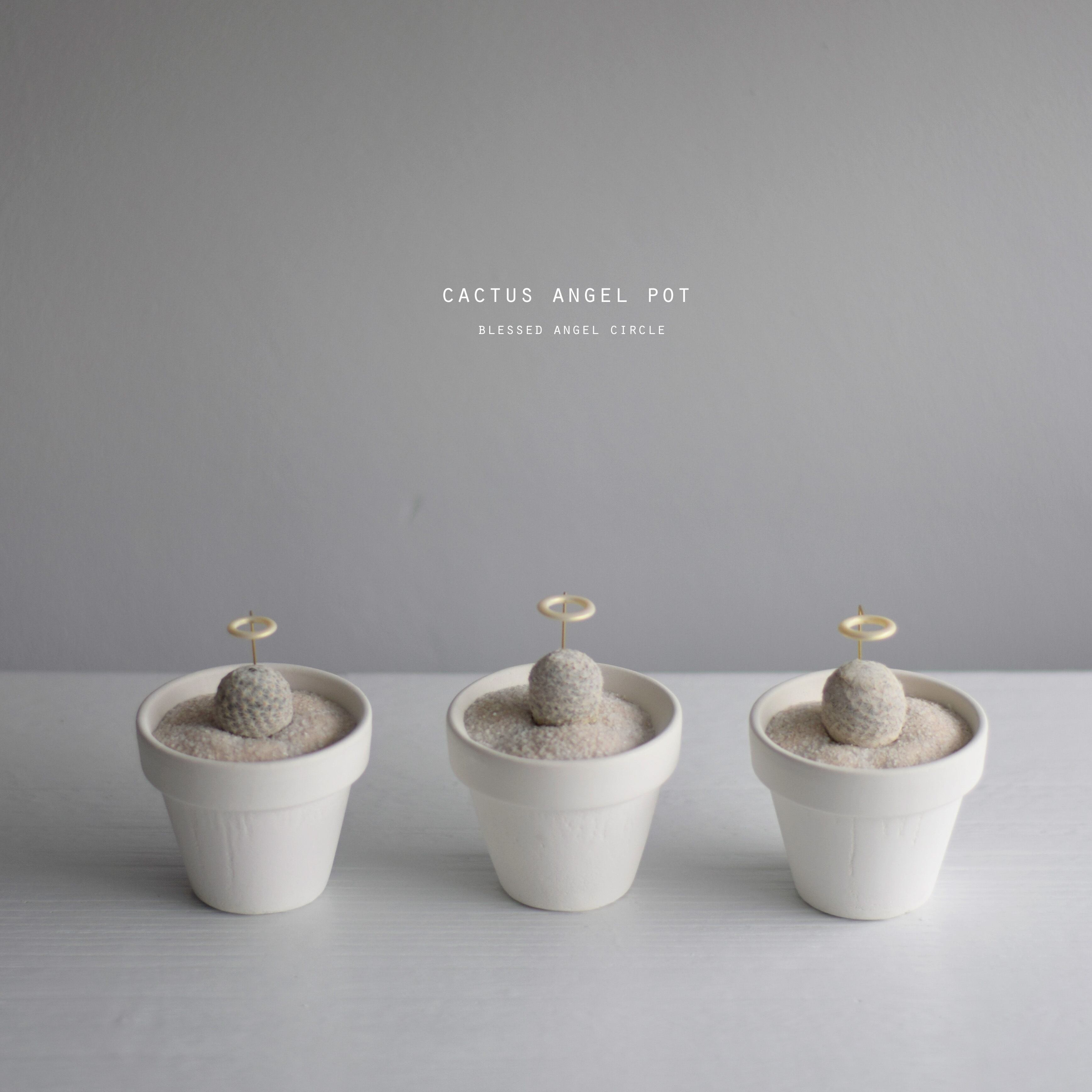 サボテン天使（モフモフ） | Sabotensi