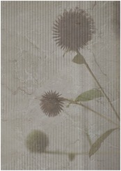 Floral Presence