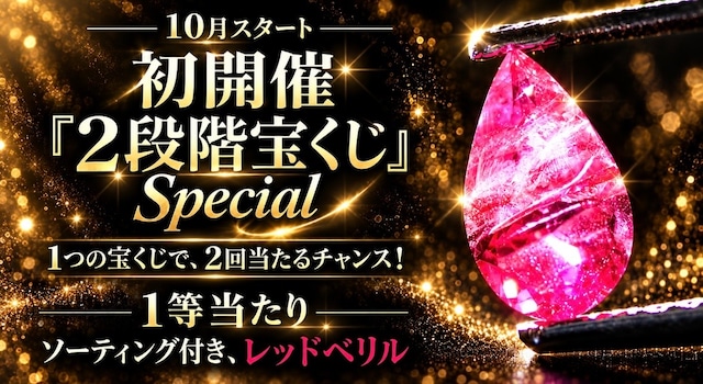 【くじ番号 No.77】10月START⭐️ 初開催『2段階宝くじ』 Special