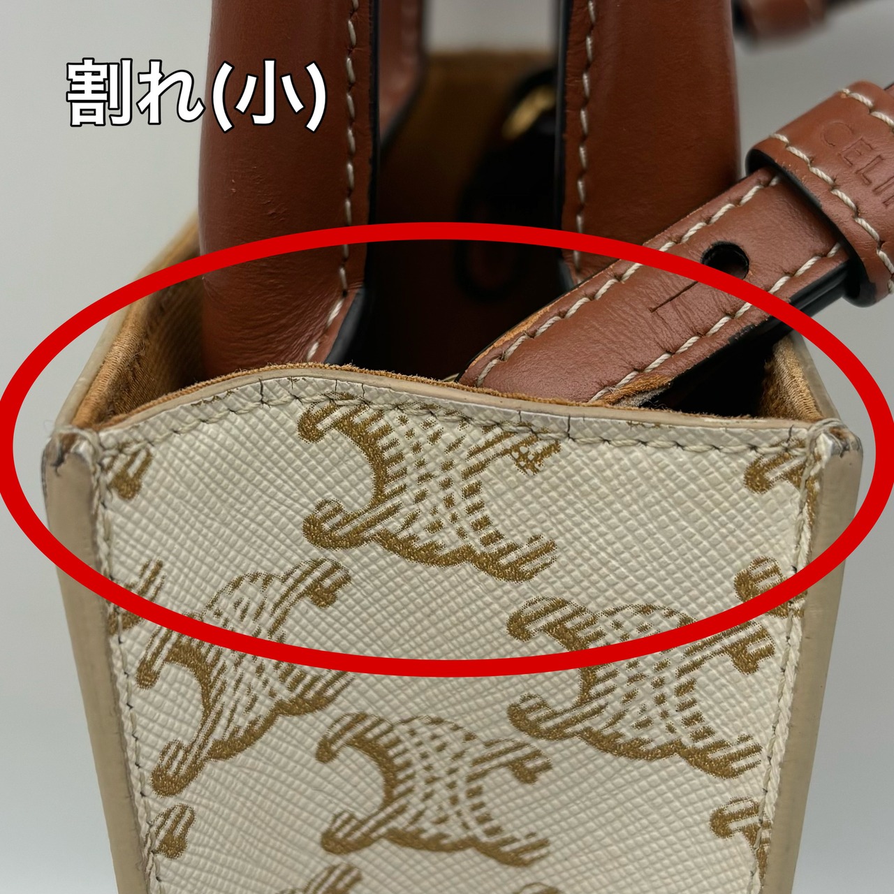 CELINE ミニ バーディカルカバ トリオンフ 2way ハンドバッグ | DEFY 