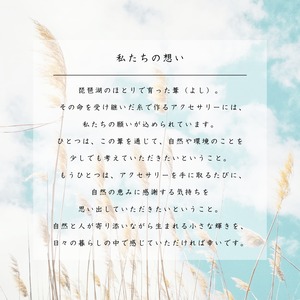 ミラージュピアス　color/さくら