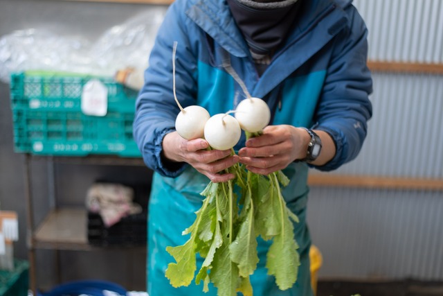 お正月を楽しむセット