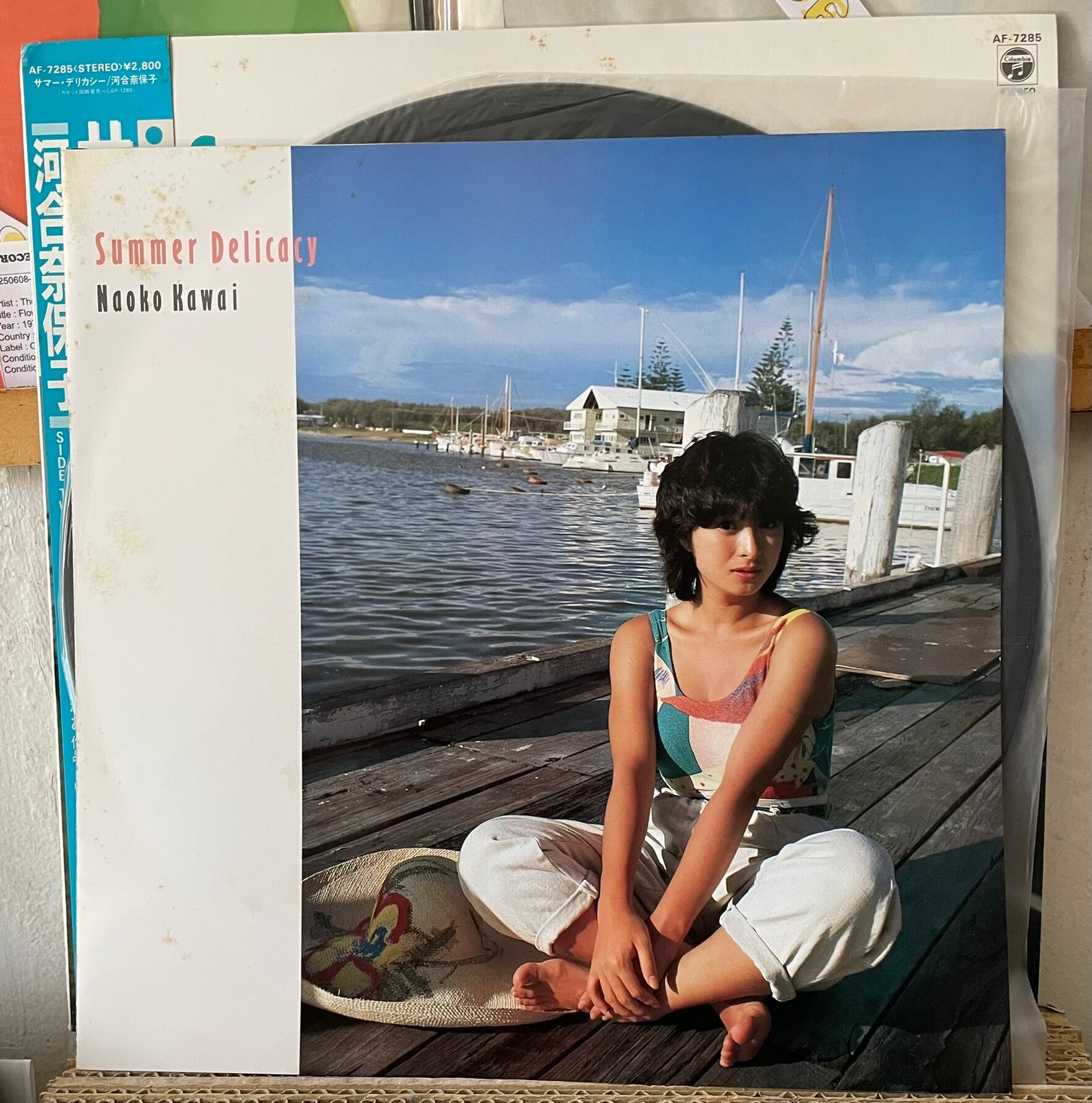 Naoko Kawai (河合奈保子) 