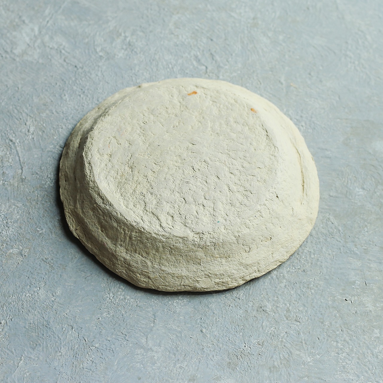 独特の雰囲気を放つ、味わい深い紙の皿